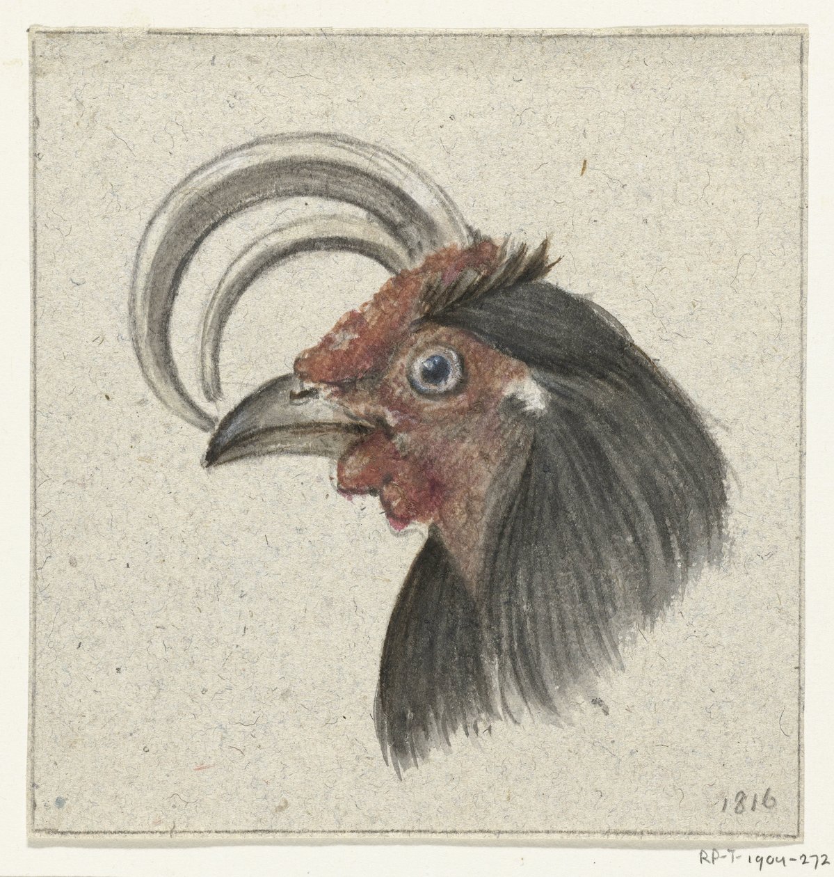 Głowa koguta autorstwa Jean Bernard