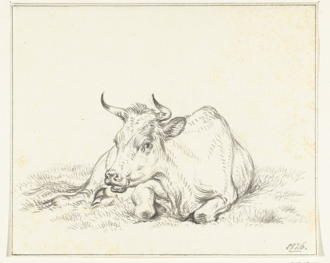 Leżąca krowa, od przodu autorstwa Jean Bernard