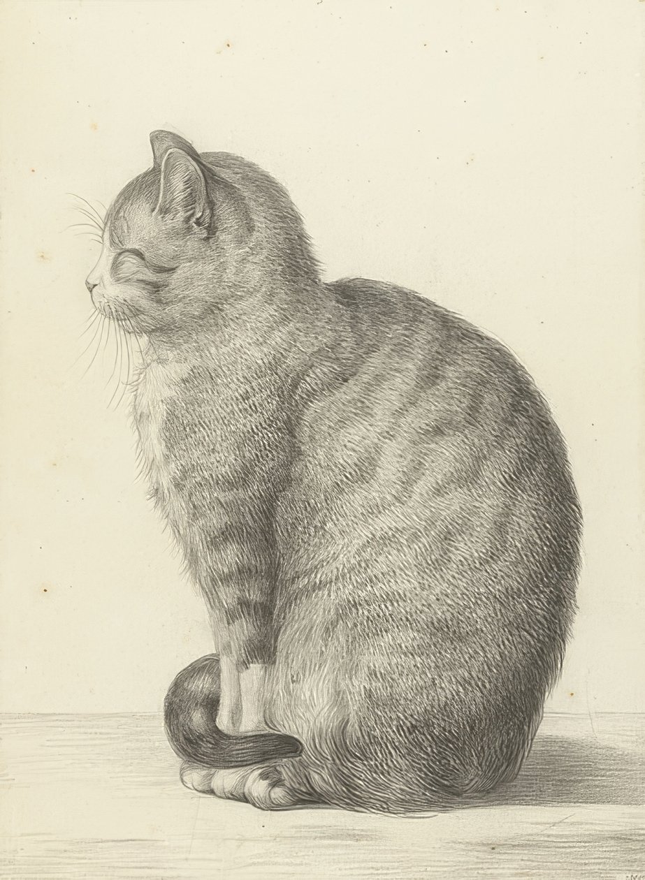 Siedzący kot po lewej stronie. 1815 autorstwa Jean Bernard