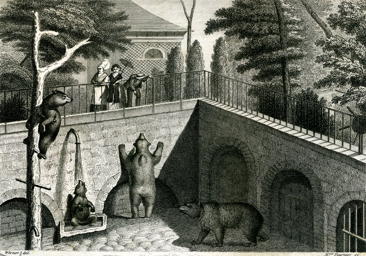 Jaskinia niedźwiedzia w zoo autorstwa Jean Charles Werner