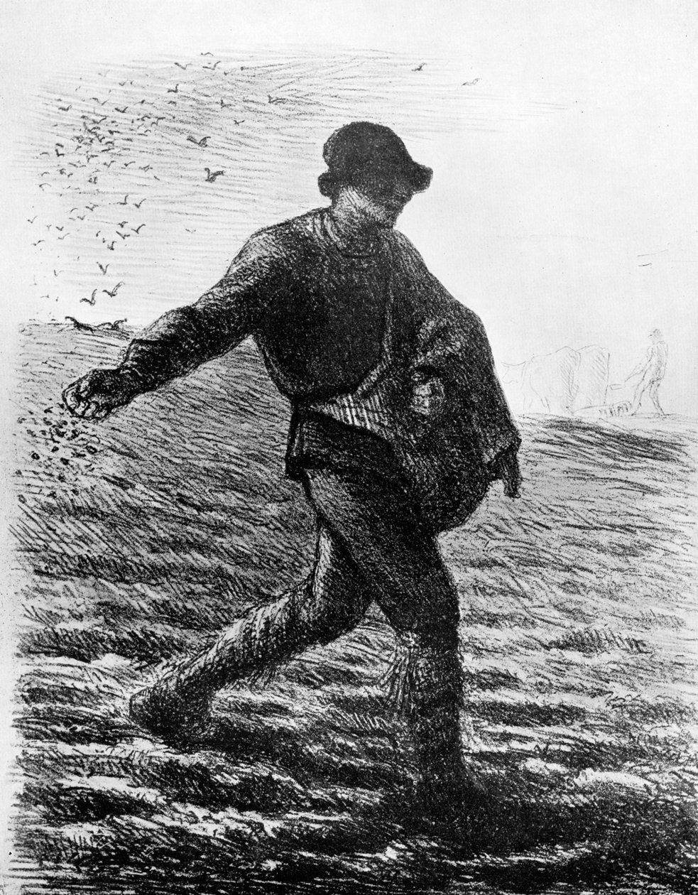 Siewca, ok. 1850, 1913. autorstwa Jean Francois Millet