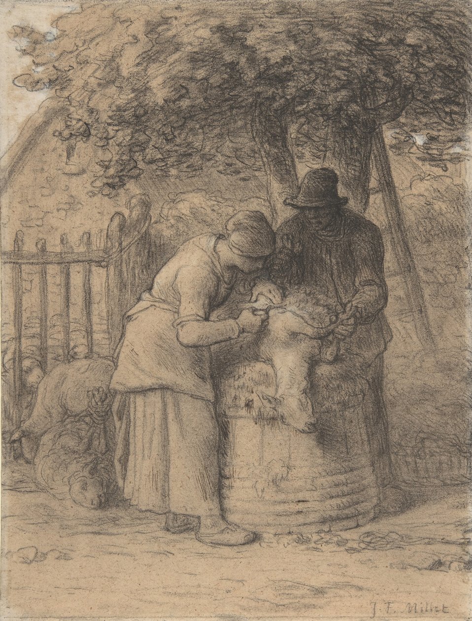 Strzyżenie owiec pod drzewem, ca. 1854. autorstwa Jean Francois Millet