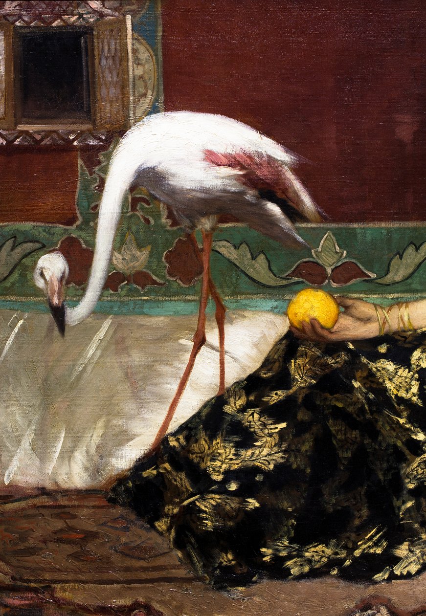 Różowy flaming (szczegół) autorstwa Jean Joseph Benjamin Constant