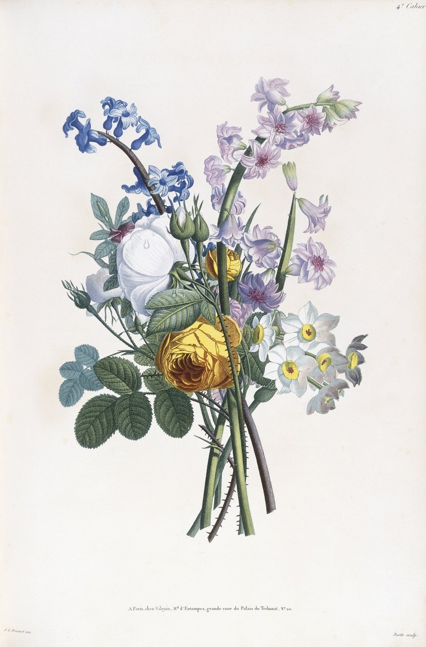 Narcyz, Rosa, Hiacynt, 1805 autorstwa Jean Louis Prevost