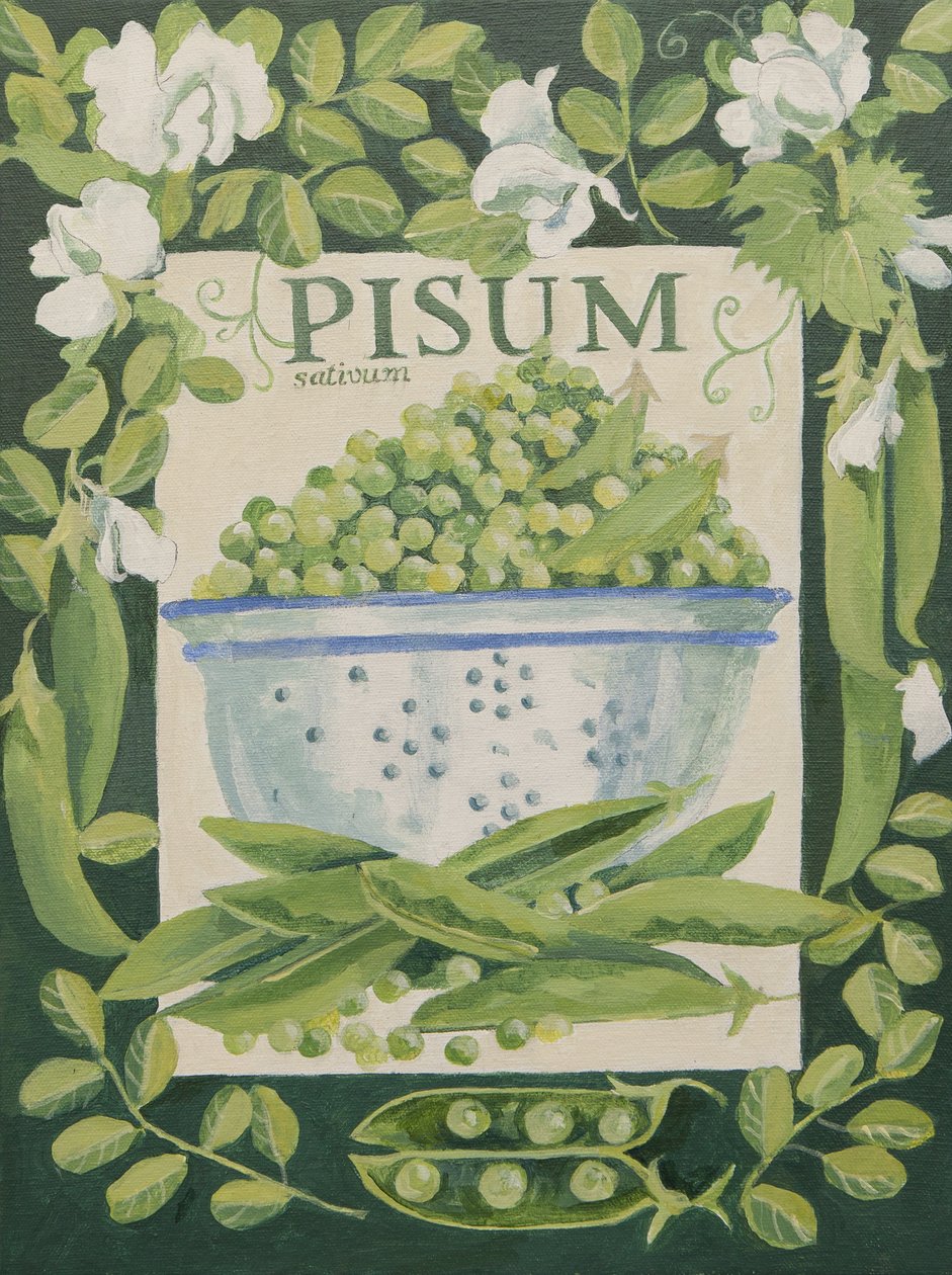 Pisum, Groch (akryl) autorstwa Jennifer Abbott