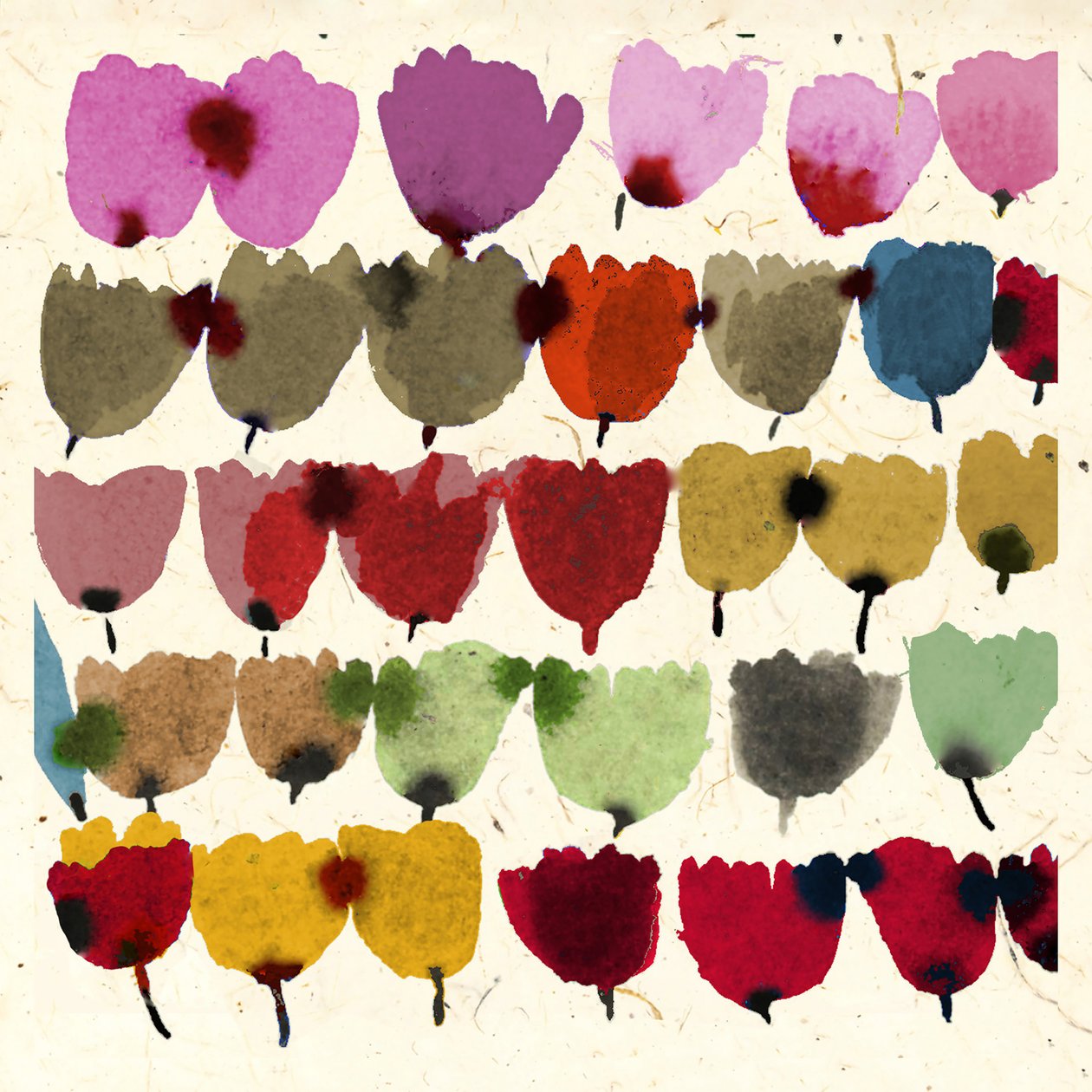 ATRAMENTOWE TULIPANY autorstwa Jenny Frean