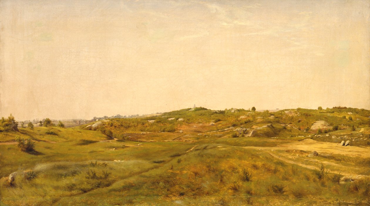 Widok w Central Parku, Nowy Jork, 1858 autorstwa Jervis McEntee