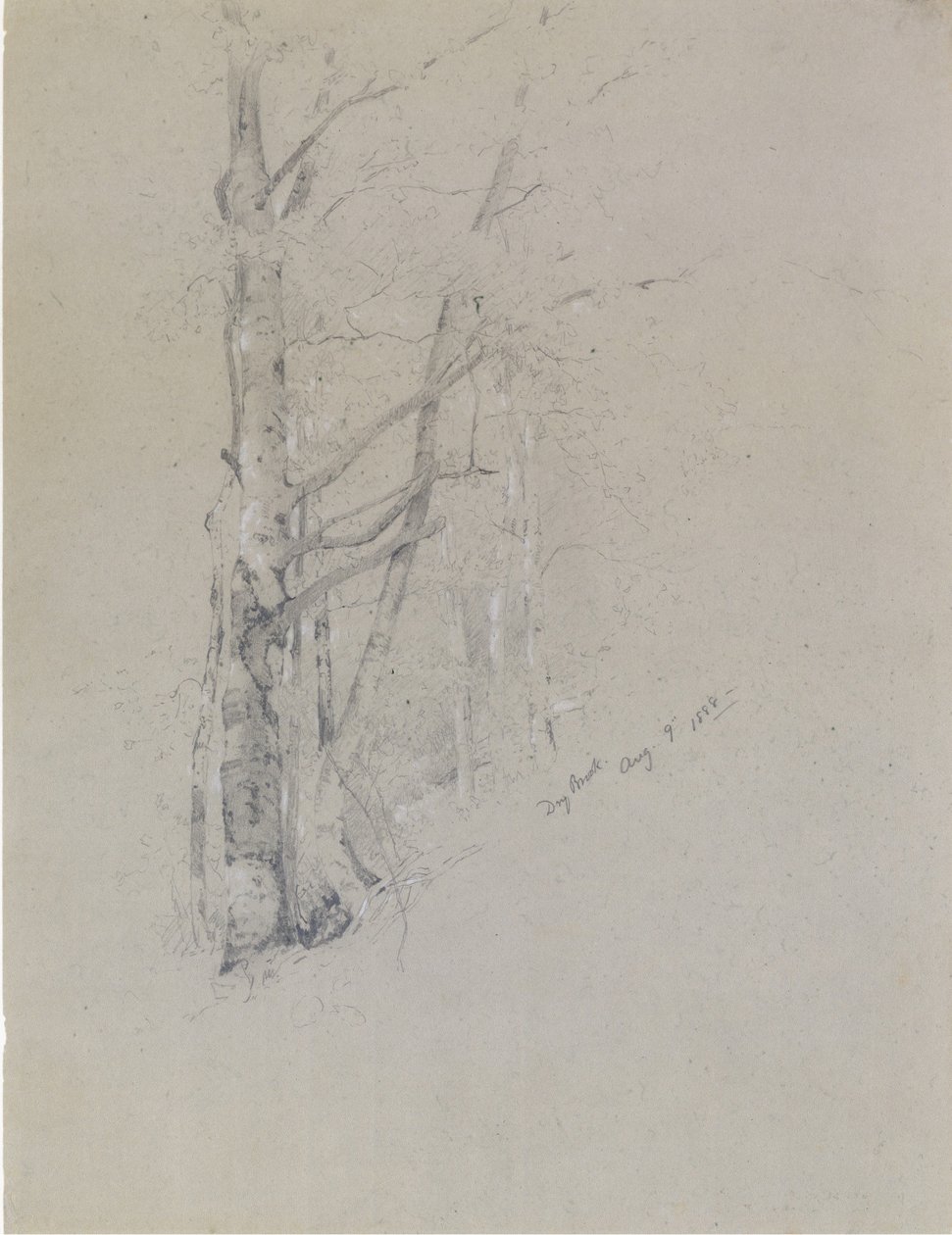 Suchy potok, 1888. autorstwa Jervis McEntee