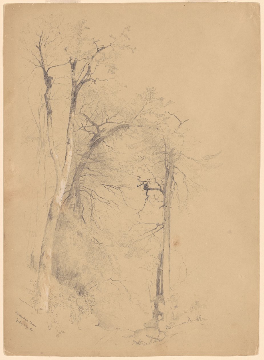 Ząbek Kaaterskill autorstwa Jervis McEntee