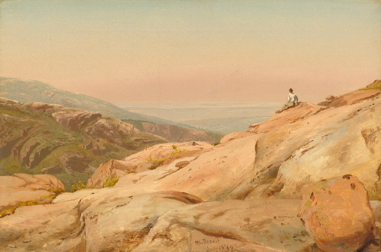 Mount Desert Island, Maine, 1864. autorstwa Jervis McEntee