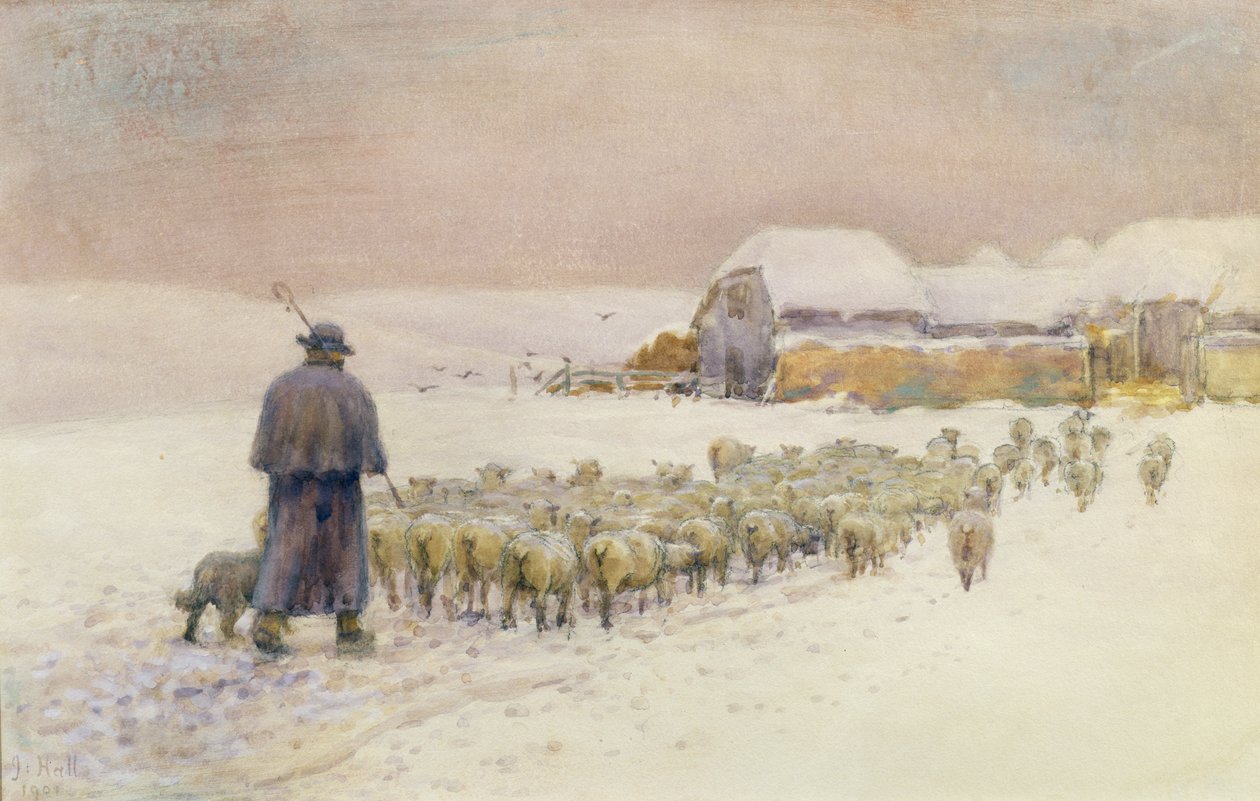 Wprowadzanie stada, 1901 autorstwa Jessie Hall