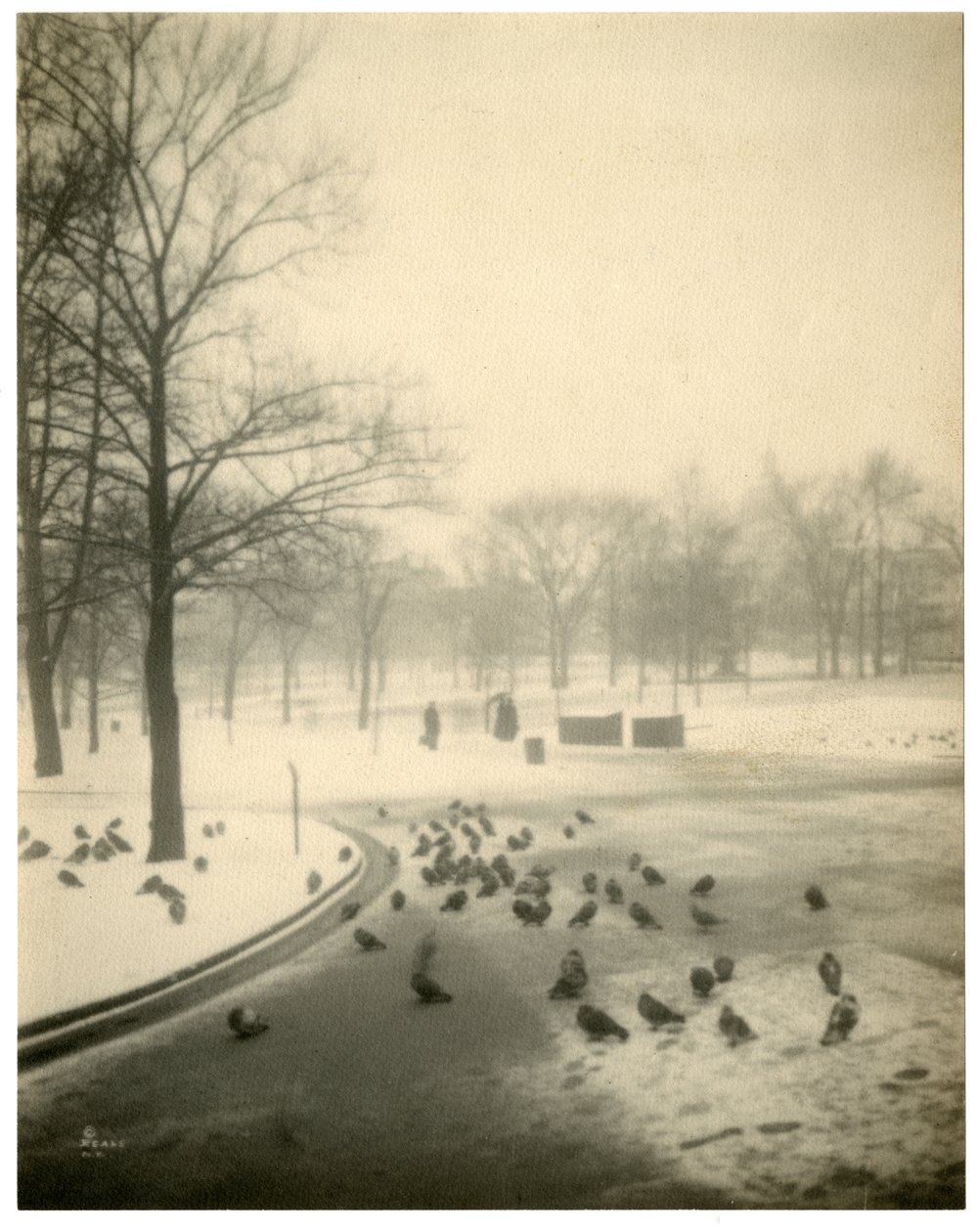 Boston Common, Boston, USA, ok.1902-10 autorstwa Jessie Tarbox Beals