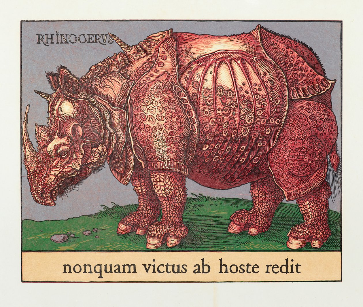 Red Rhino, 2007 (puupiirros)kiillotus autorstwa Jim Monson