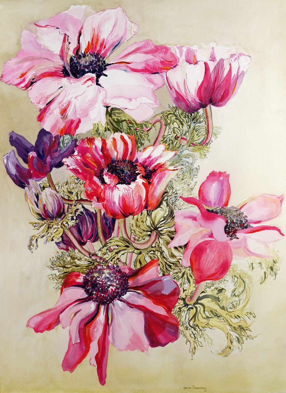 Zawilce autorstwa Joan Thewsey