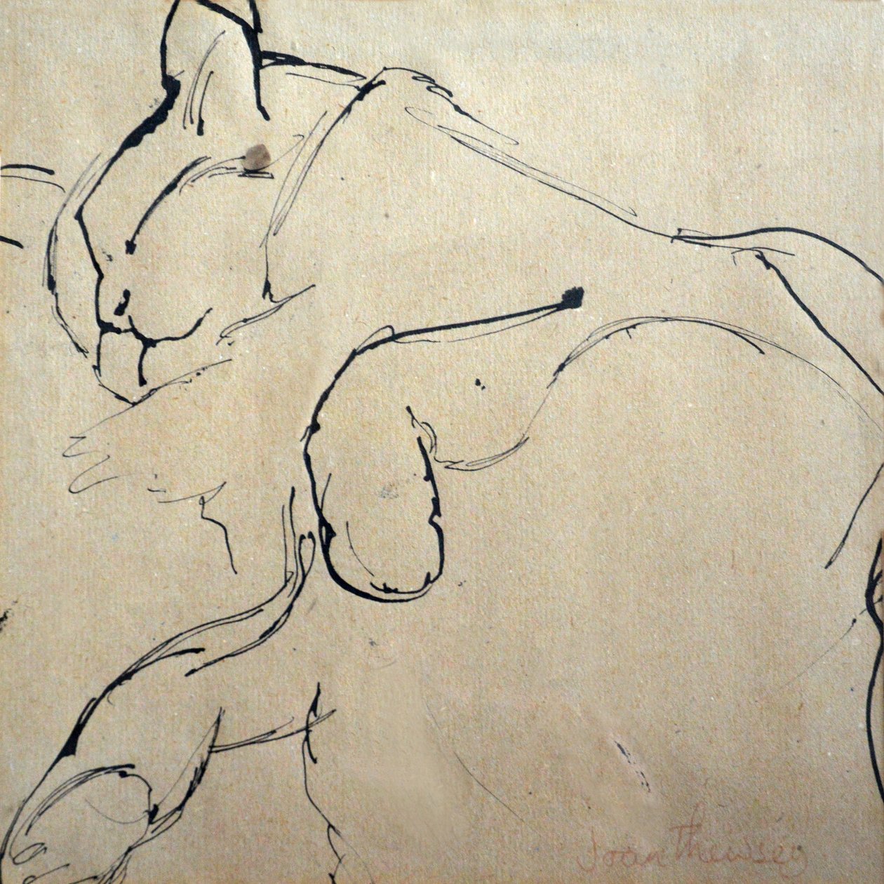 Kot, Mouser, 1980 (pióro i atrament) autorstwa Joan Thewsey