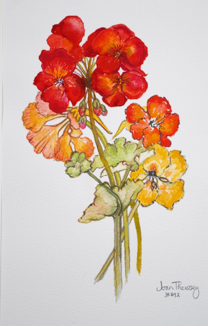 Geranium i nasturcje, 2014, akwarela autorstwa Joan Thewsey