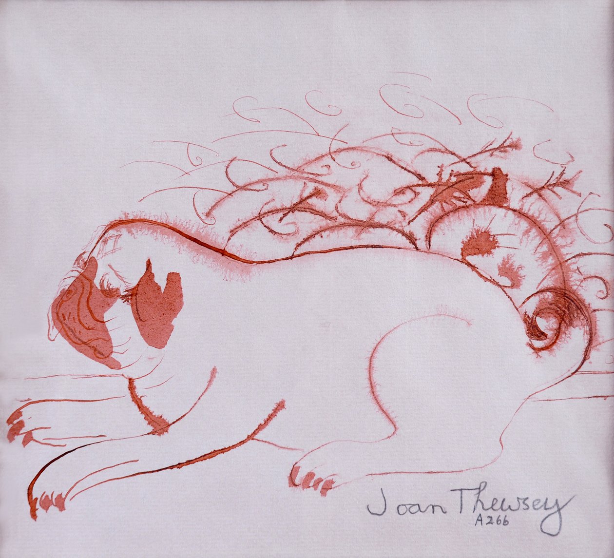 Pug Puppy 2,2005, (tusz na mokrym papierze) autorstwa Joan Thewsey