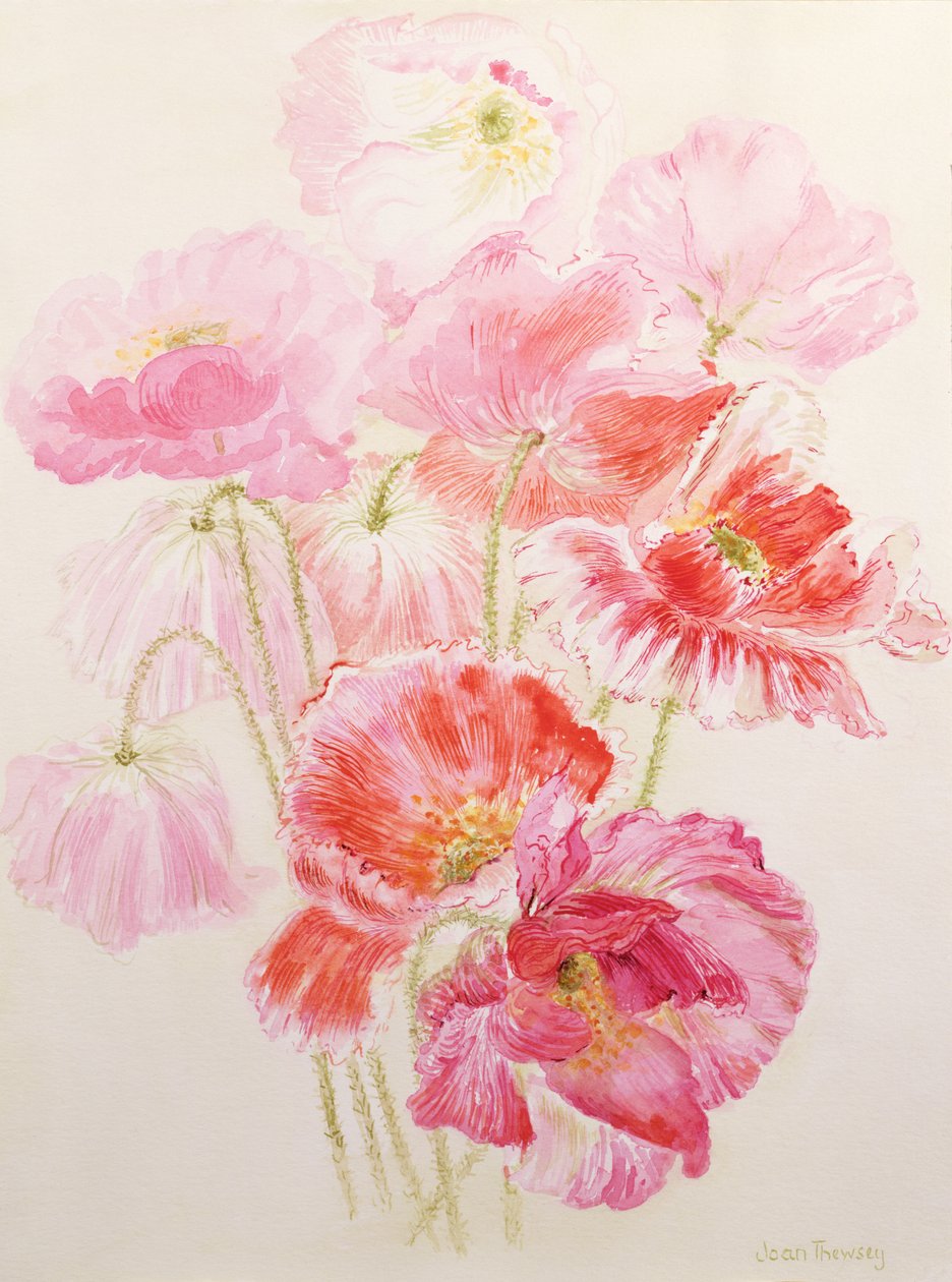 Shirley Maki autorstwa Joan Thewsey