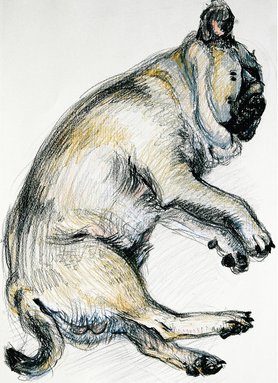 Śpiący mops jeden, 2000, (pastel olejny) autorstwa Joan Thewsey
