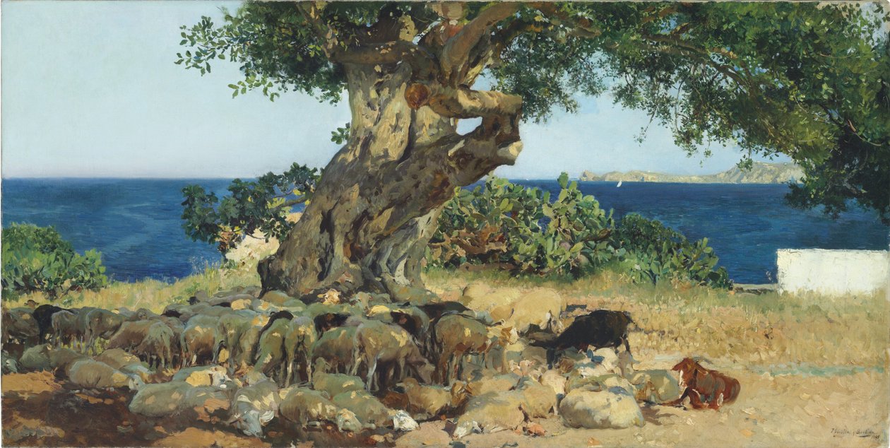 Drzewo chleba świętojańskiego autorstwa Joaquín Sorolla
