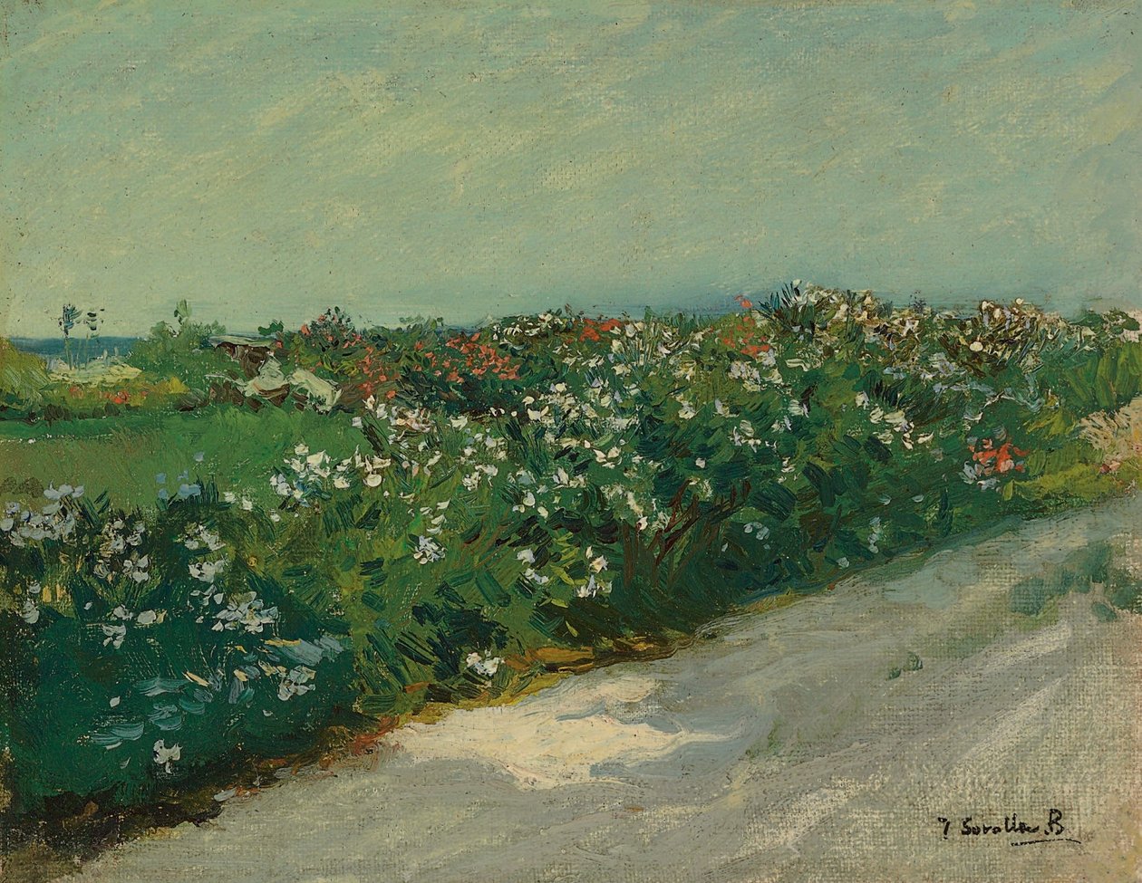 Malvarrosa autorstwa Joaquín Sorolla