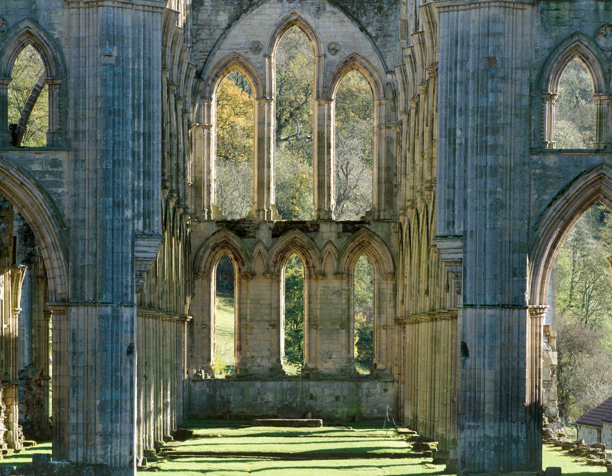Opactwo Rievaulx, c1990-2010 autorstwa Joe Cornish