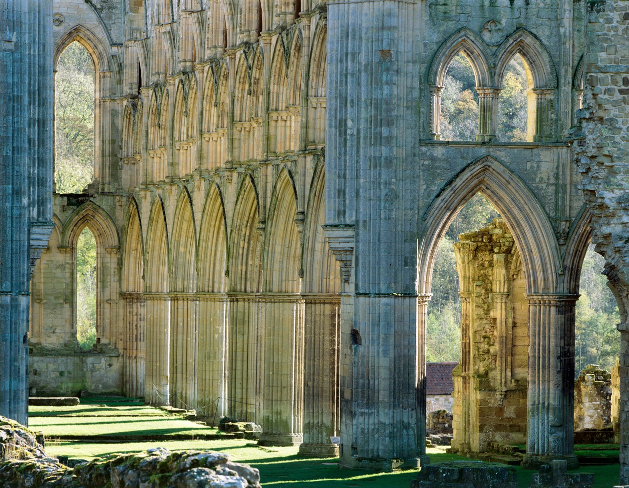 Opactwo Rievaulx, c1990-2010 autorstwa Joe Cornish