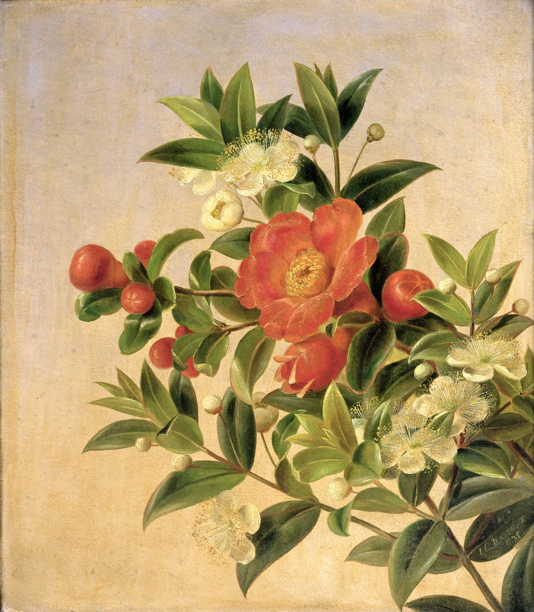 Kwiaty, 1835 autorstwa Johan Laurents Jensen