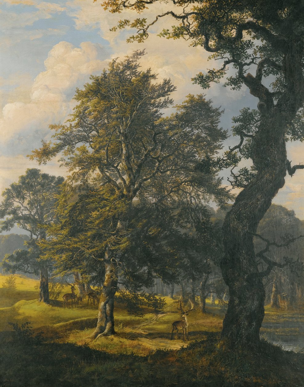 Dyrehaven w pobliżu Kopenhagi autorstwa Johan Christian Dahl