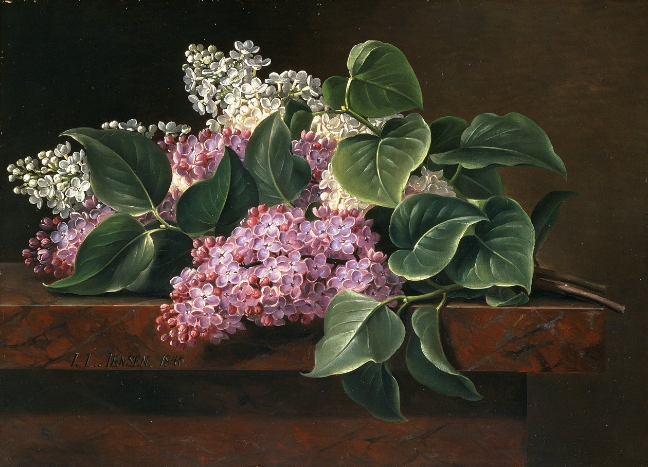 Liliowy na półce, autorstwa Johan Laurents Jensen