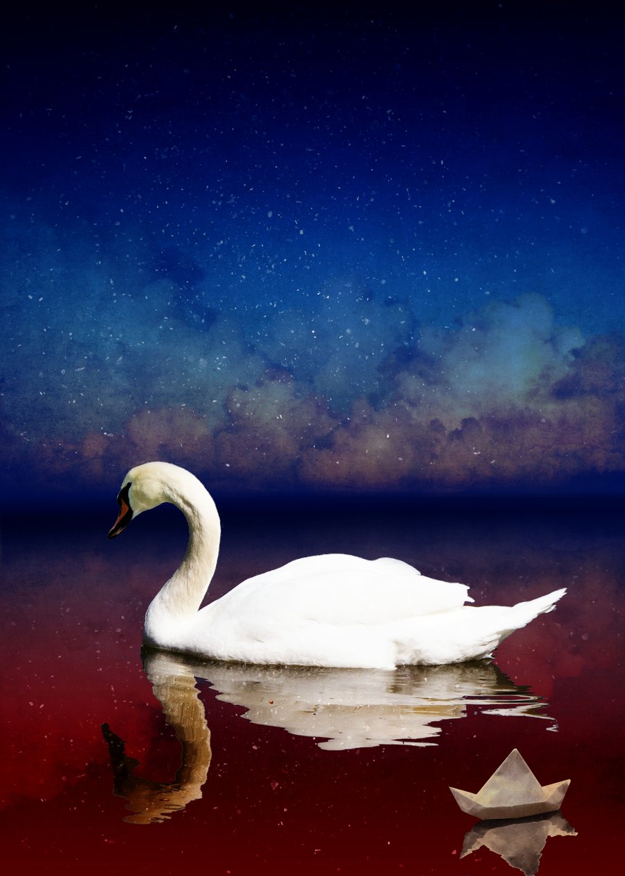 Bird Kingdom 4, 2018 (cyfrowa fotografia) autorstwa Johan Lilja