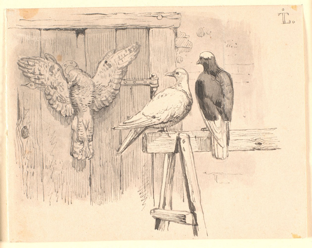 Gołębie autorstwa Johan Thomas Lundbye