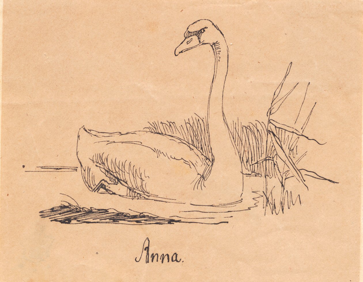 Łabędź autorstwa Johan Thomas Lundbye