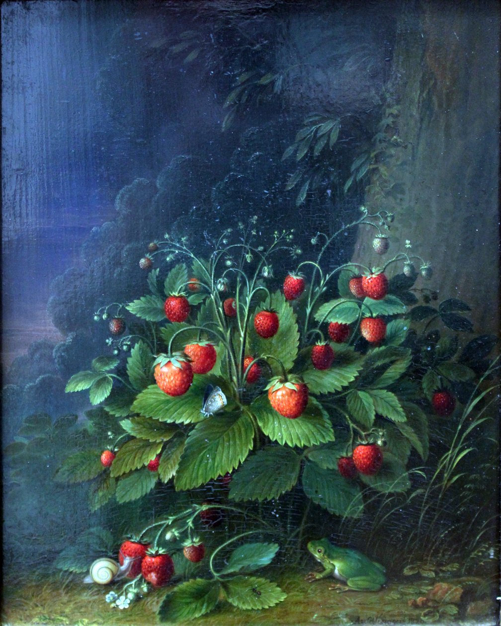 Truskawki autorstwa Johann Adam Schlesinger