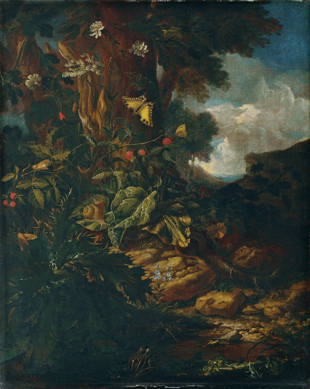 Krajobraz z gadami i owadami (II) autorstwa Johann Adalbert Angermayer