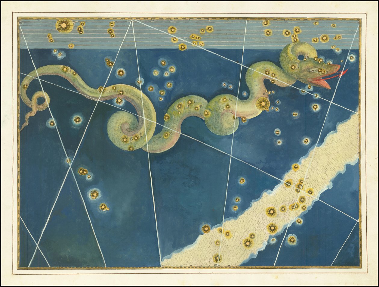 Hydra - Johann Bayer autorstwa Johann Bayer