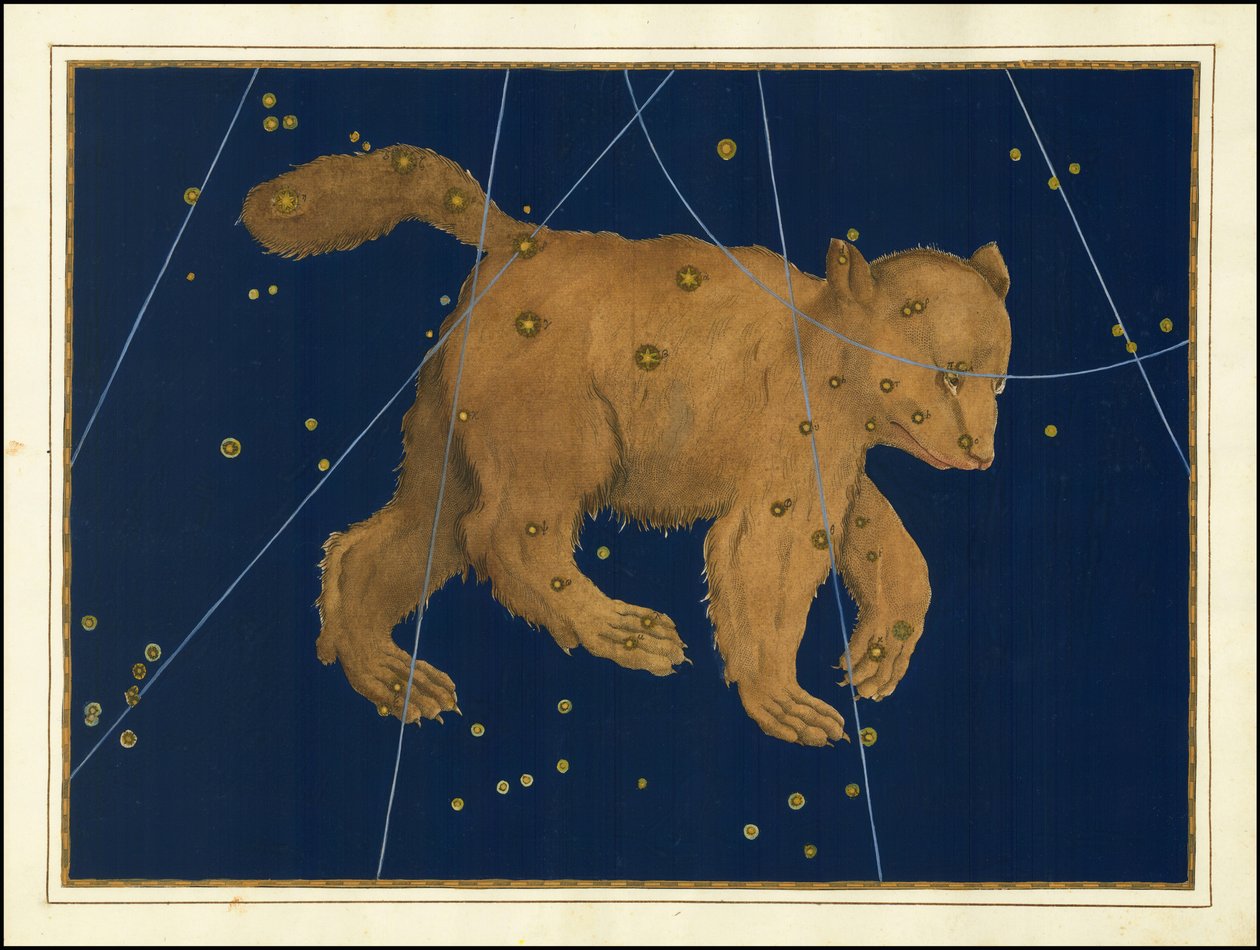 Johann Bayer, Ursa Major autorstwa Johann Bayer
