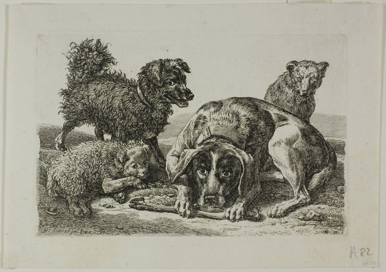Cztery psy z Die Zweite Thierfolge autorstwa Johann Christian Reinhart
