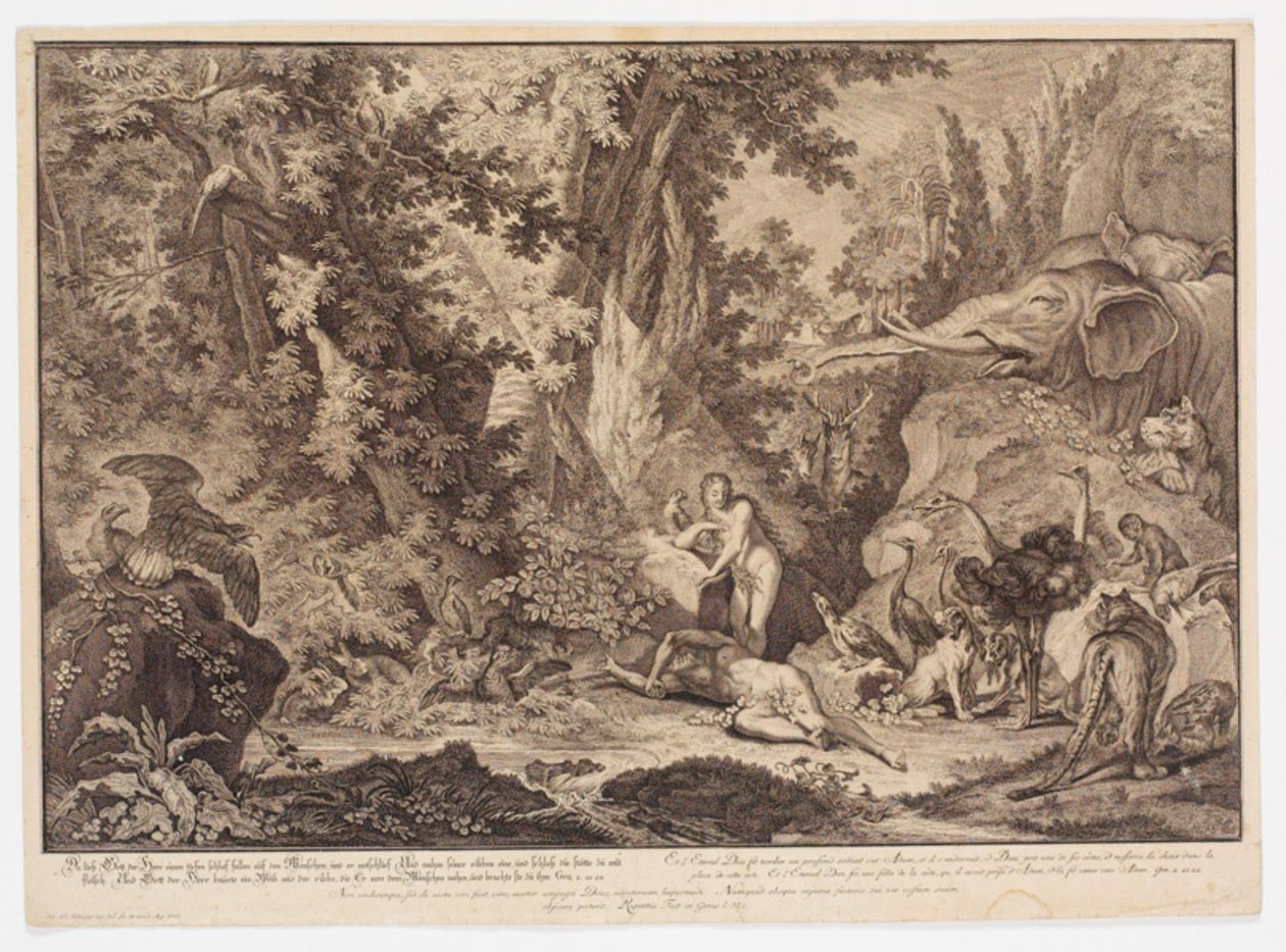 Stworzenie Ewy autorstwa Johann Elias Ridinger
