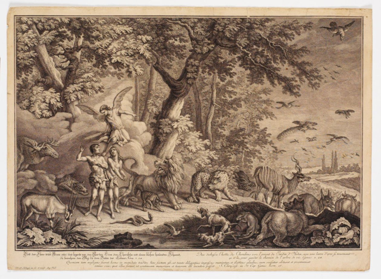 Wypędzenie z raju autorstwa Johann Elias Ridinger