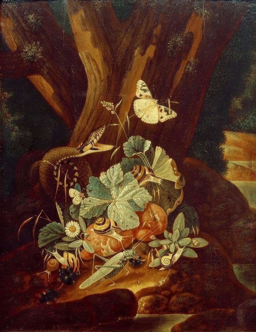 Owady, ślimaki i węże autorstwa Johann Falch