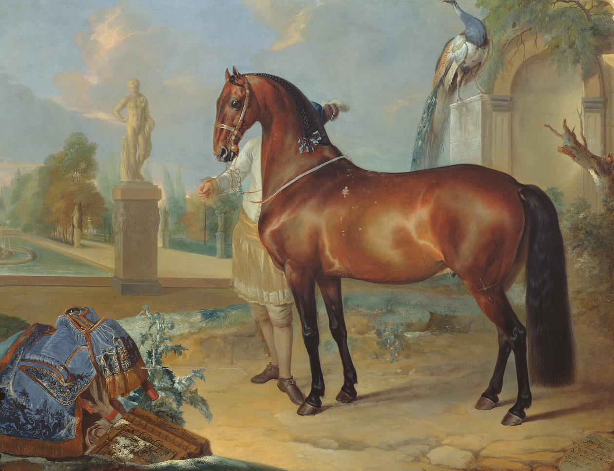 Gniady koń „Szczery” autorstwa Johann Georg Hamilton