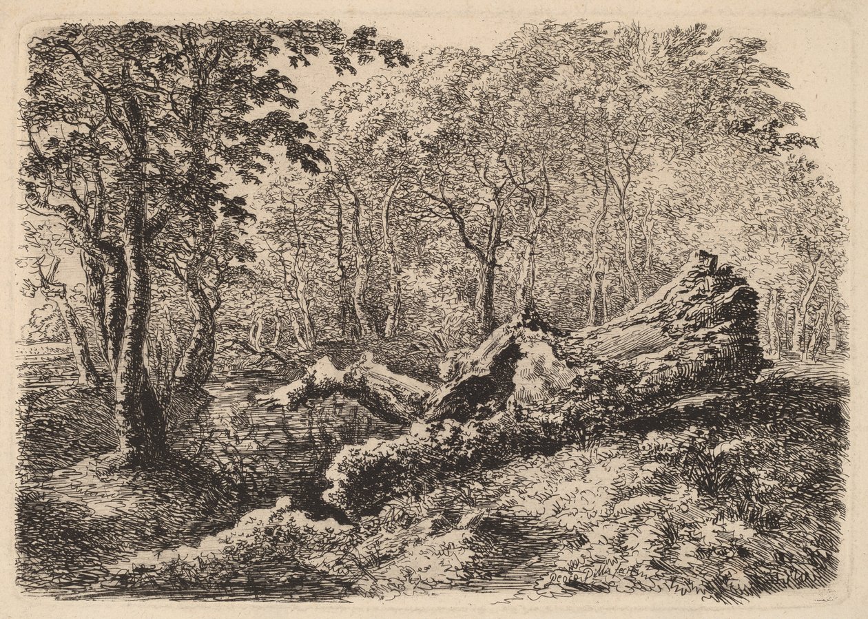 Butwiejący pień drzewa, 1794. autorstwa Johann Georg von Dillis