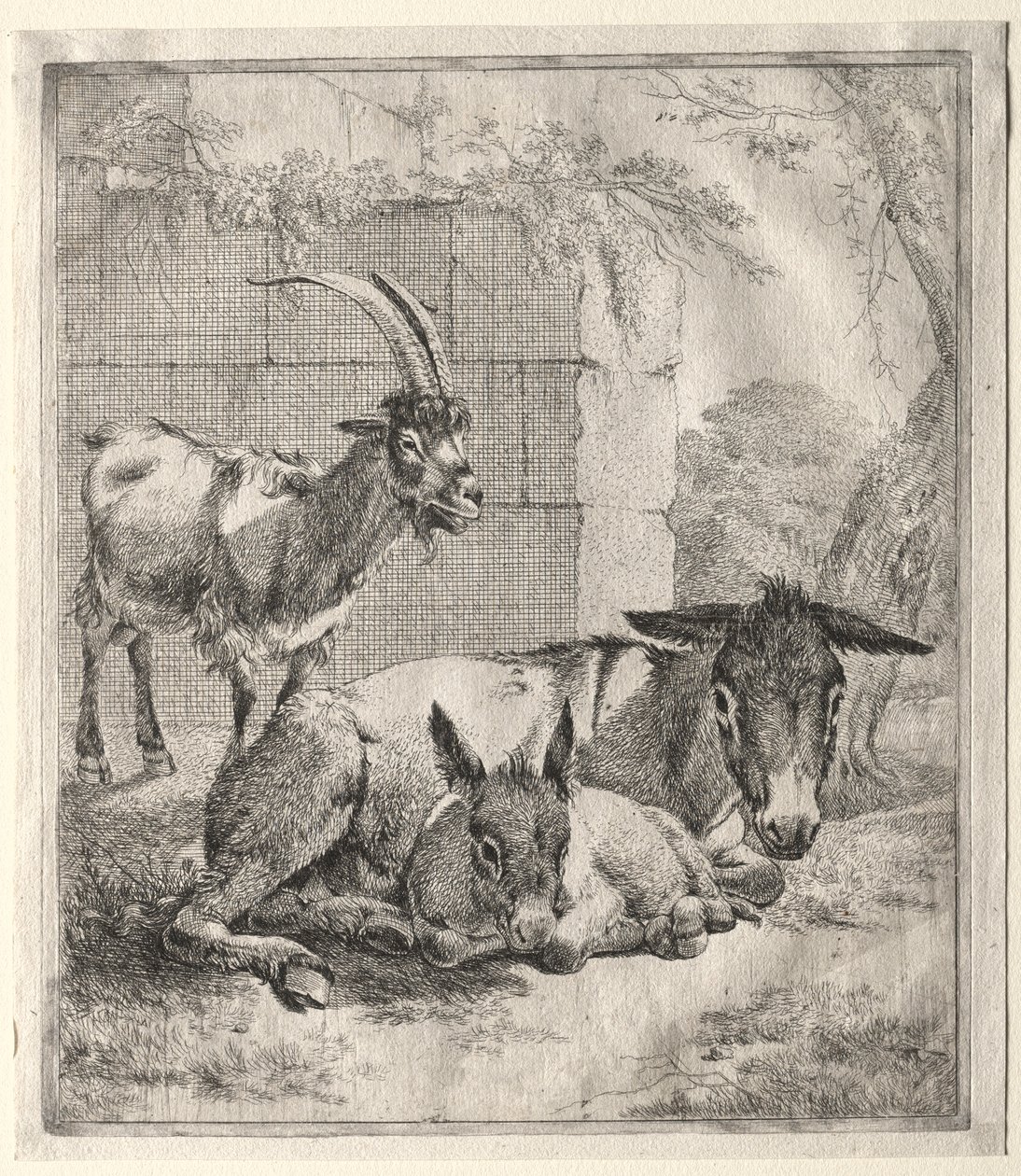 Koza i osły. autorstwa Johann Heinrich Roos