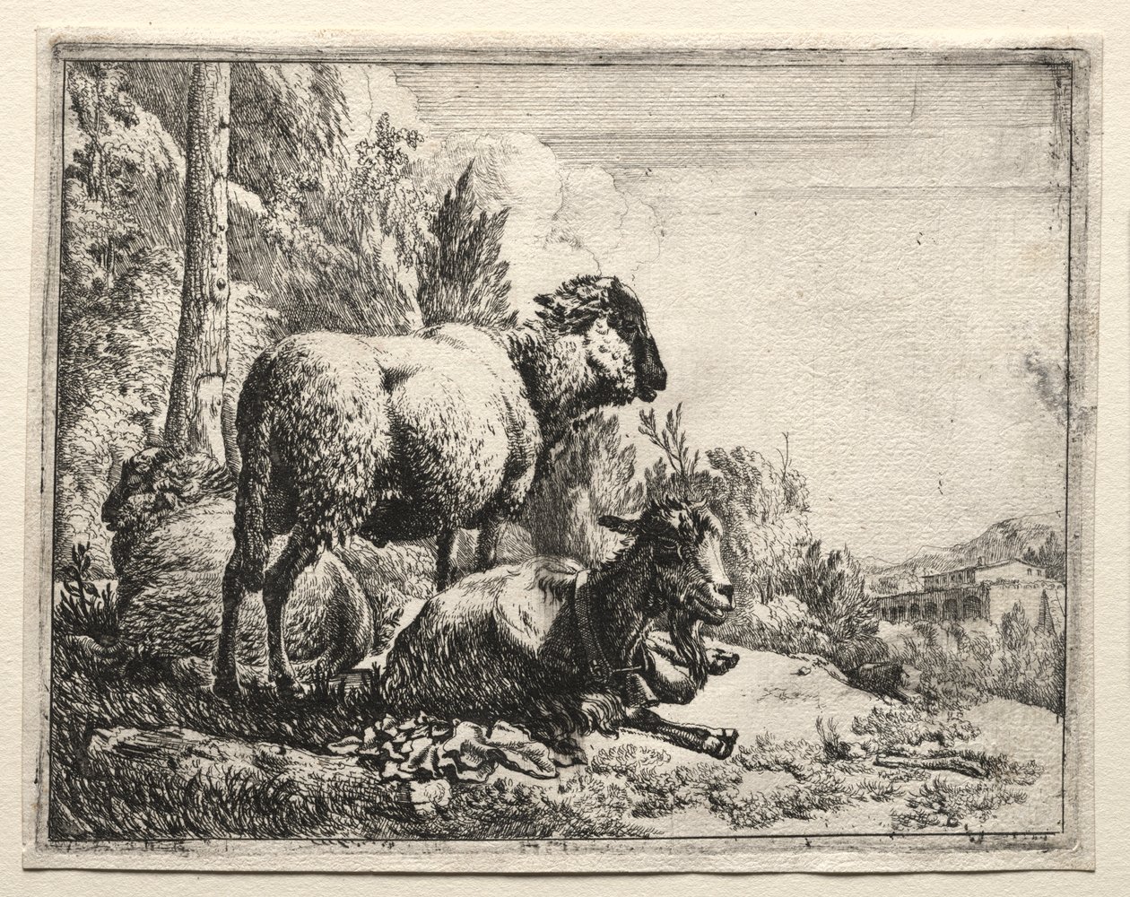 Koza z Dzwonkiem autorstwa Johann Heinrich Roos