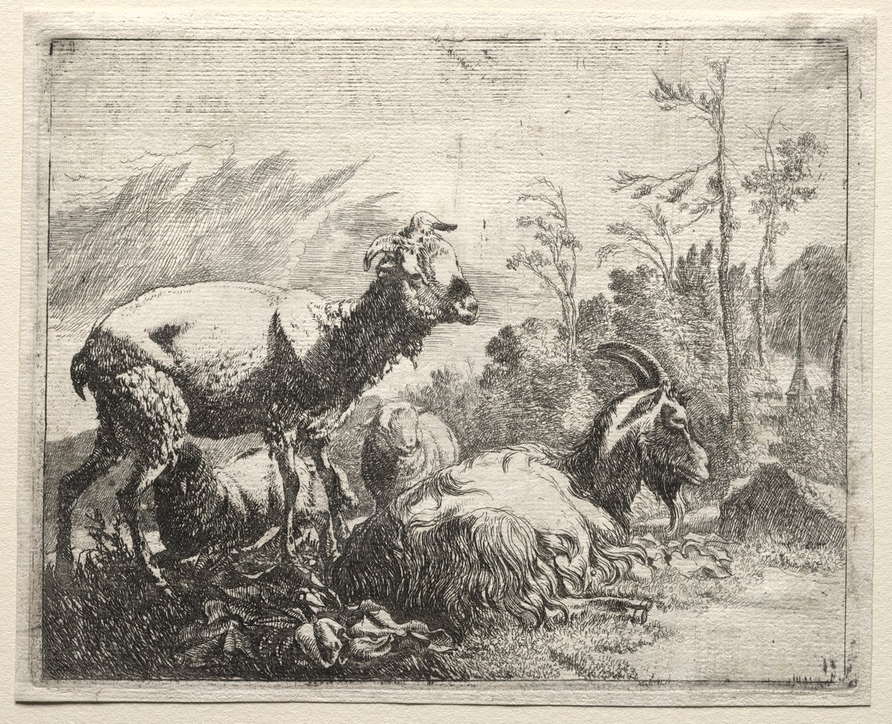 Kozy, 1665. autorstwa Johann Heinrich Roos