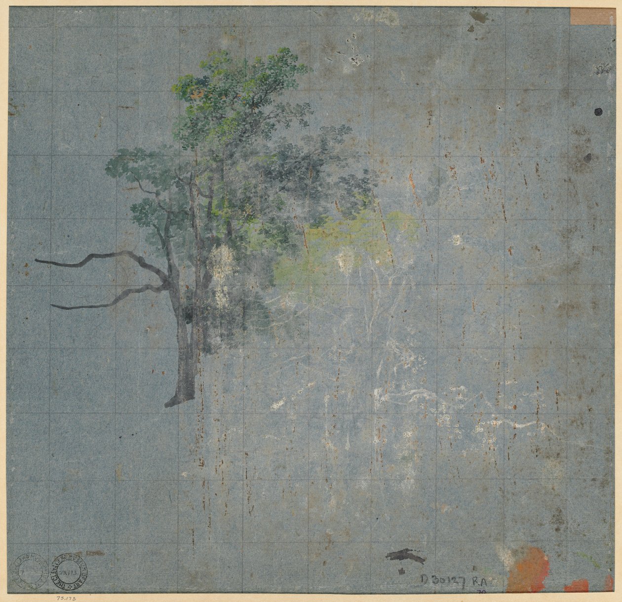 Studia drzew (verso) autorstwa Johann Jacob Dorner
