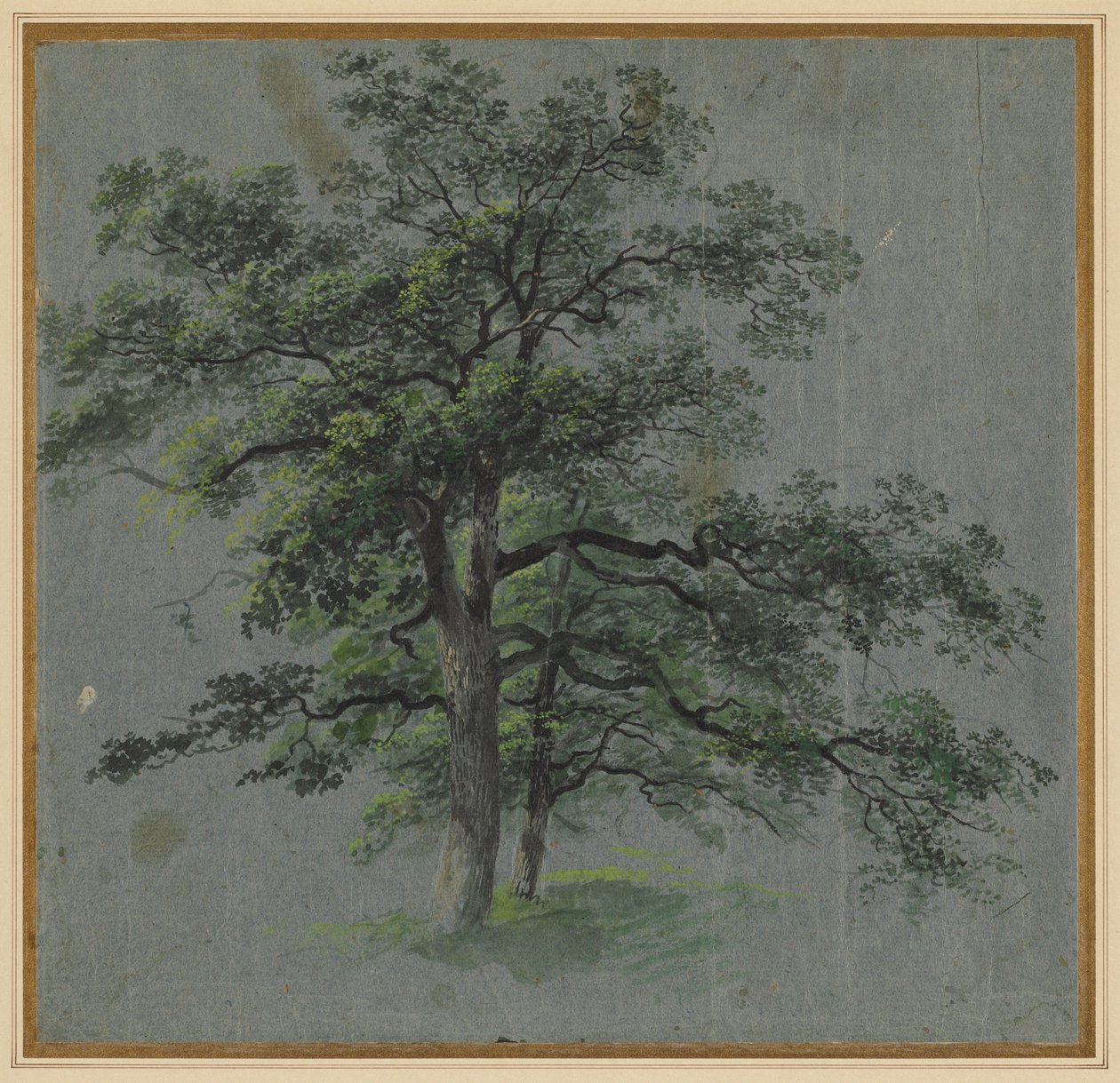 Dwa Drzewa, pierwsza połowa XIX wieku. autorstwa Johann Jacob Dorner
