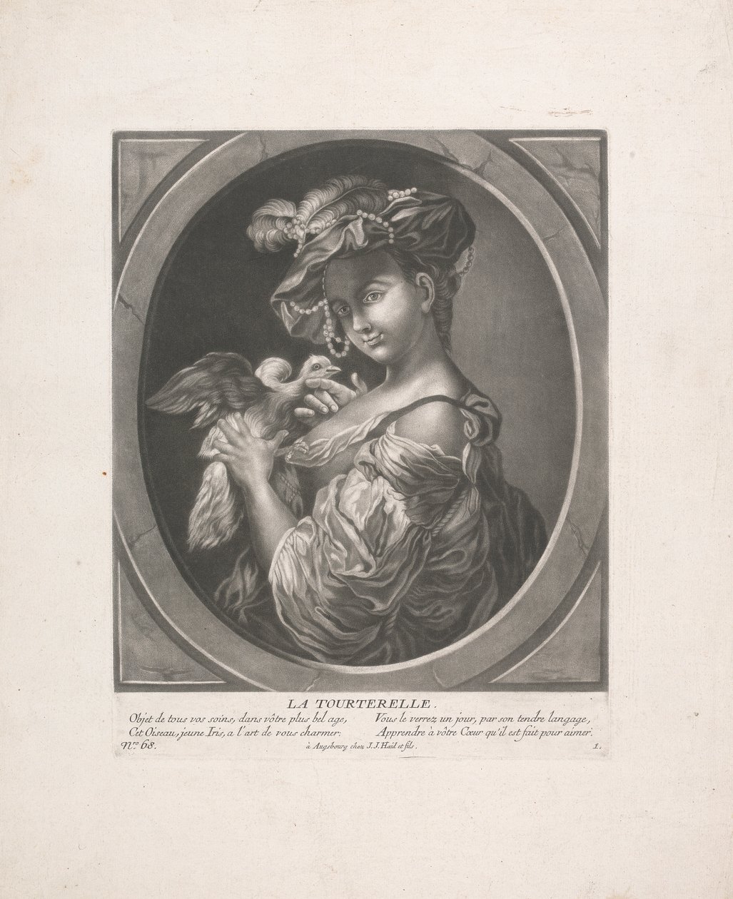 Gołąb autorstwa Johann Jacobus Haid