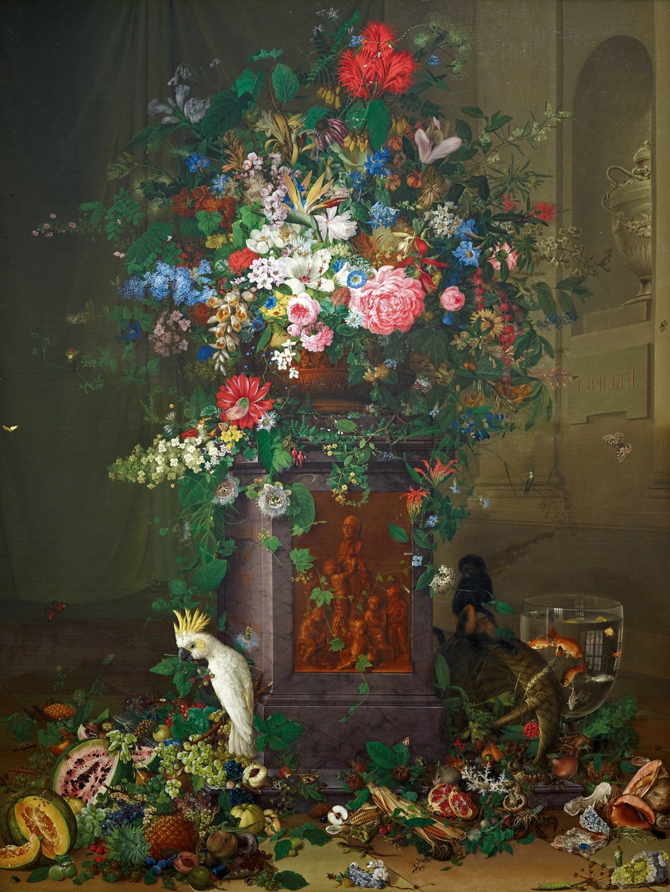Hołd dla Jacquina („Pomnik Jacquina”) autorstwa Johann Knapp